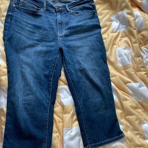 Judy Blue 14W Skinny Fit Capri like new.